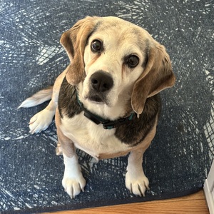 Fundraising Page: Alexandra Titus